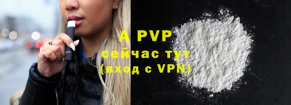 гашик Горняк