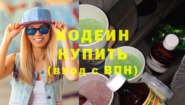 гашик Горняк