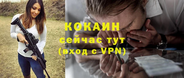 гашик Горняк