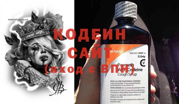 гашик Горняк