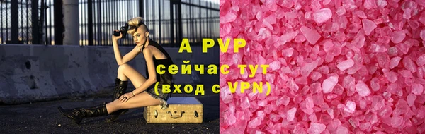 СК Гусь-Хрустальный