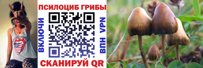 Галлюциногенные грибы MAGIC MUSHROOMS  Купить где  Бокситогорск 